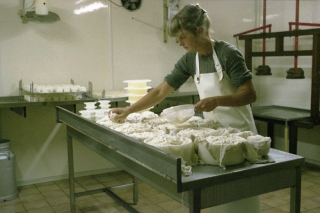 Trudie at the cheese dairy