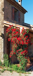 Gîte en Provence